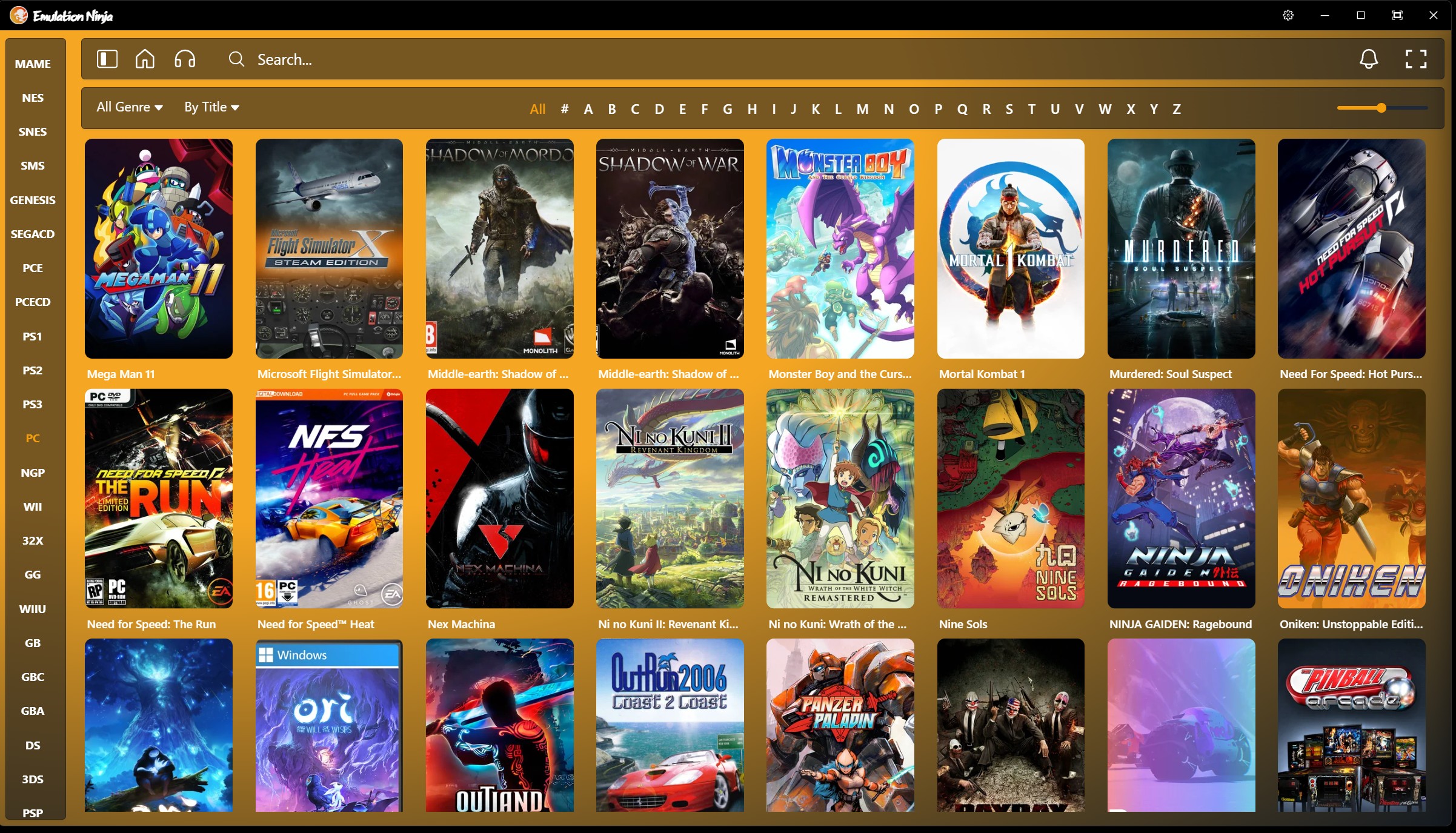 PC game library showing Steam and non-Steam games